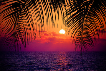 Fototapeta na wymiar Summer tropical background. Sunset at the Ocean