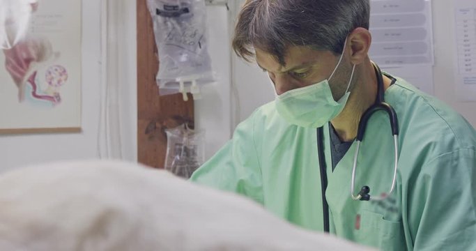 Veterinary surgery - Veterinarian operating a white dog in a pet clinic
