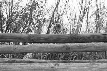 Wooden railing in the forest (Pesaro, Italy)