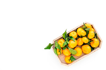 Winter fruits for New Year and Christmas. Tangerines on white background top view mock-up