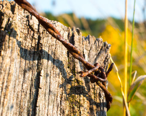 macro rusty barbed wire on weathered fence post autumn