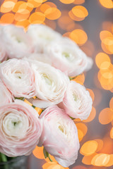 Persian buttercup. Bunch pale pink ranunculus flowers in Glass vase. Garland bokeh on background. Vertical Wallpaper