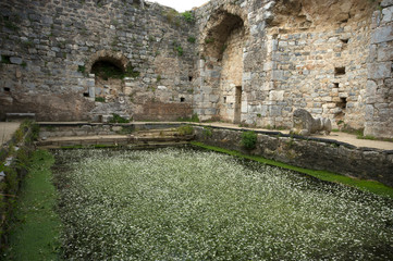 Ruins of ancient fausta bath pool in Miletus ancient city, Turkey