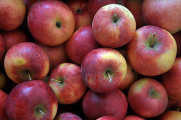Background from collected red apple