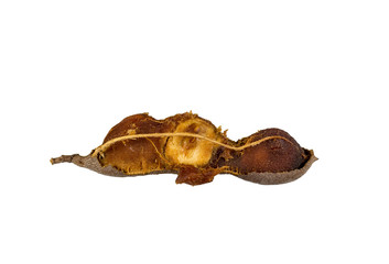 Tamarind Pod-like Raw Fruit