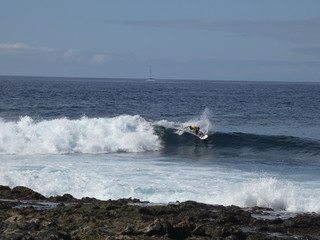 SURF 