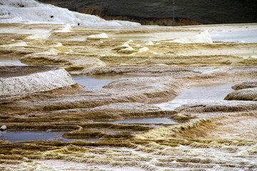 Pamukkale, Sorgenti Calcaree (Turchia)