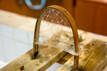 Silk cocoon stretched out over wood frame