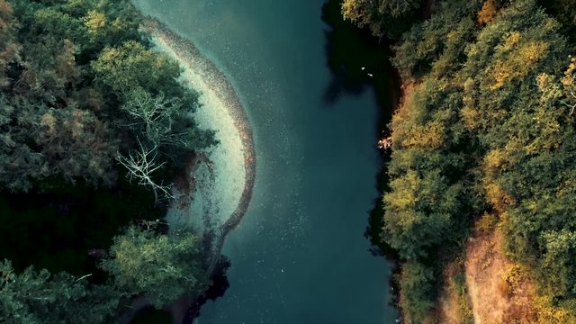 Travel nature footage over Vancouver Island in British Columbia: Sooke river, otters, bridges, cliffs, and Port Renfrew with DJI Mavic Pro drone.