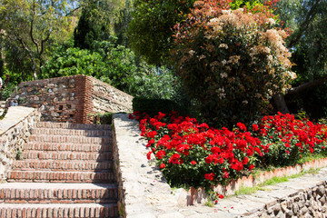 Stairs in garden - 238817451
