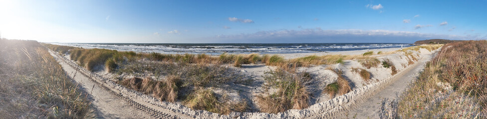 Fototapeta na wymiar panoramic image of bikeway and seaside dunes in Hiddensee island, Northern Germany