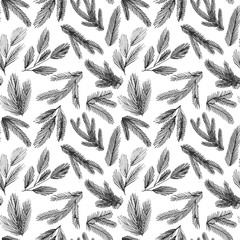 Seamless pattern with vector spruce branches. Winter and Christmas decoration. Hand drawn ornament for wrapping paper. 