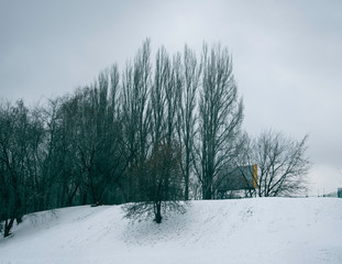 winter