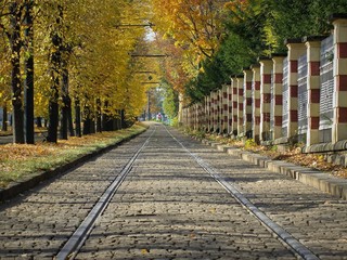 Fototapeta premium Schienen im Herbst