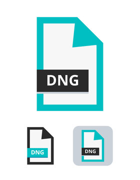 Dng file flat vector icon. Standardized professional photo raw format. Symbol of DNG camera file for pictures, photos and images isolated on a white background.