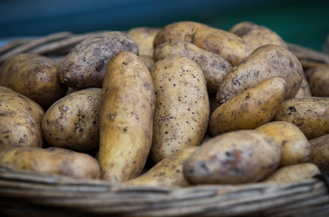 Raw potatoes in baskets on the market close up shot 
