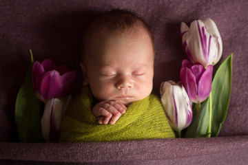 the first photo shoot. newborn child. newborn boy. child with tulips. the baby among the flowers. Tulips