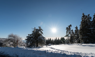 Schwarzwald im Winter