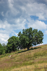 Amazing Landscape of Ograzhden Mountain, Blagoevgrad Region, Bulgaria