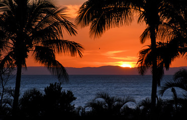 Fototapeta na wymiar Paradise scene island view with sunset and palm trees overlooking peaceful bay.