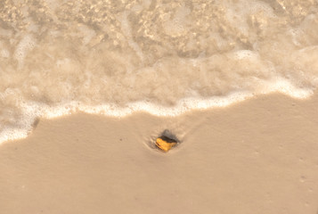 Lonely Rock on the Beach
