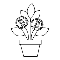 house plant with bitcoin money