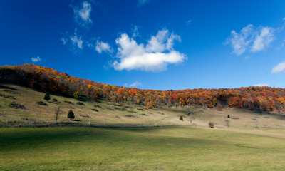 Fall Colors West Virginia