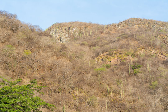 cerro