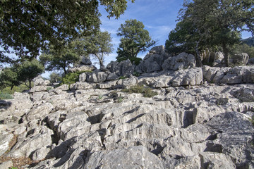 Fototapeta na wymiar Landscape with unusual looking limestone rocks in the Lluc area