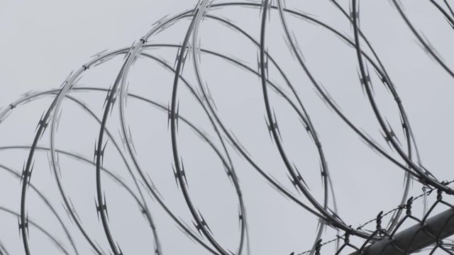 Barbed Razor Wire Fence Prison Jail