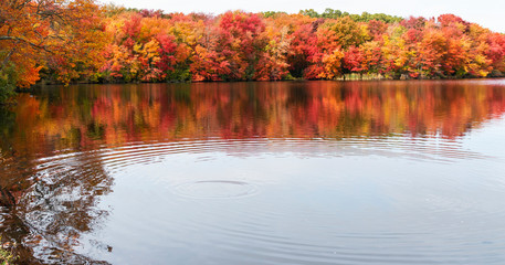 Ripples in a lake with Autumn colored trees in the background