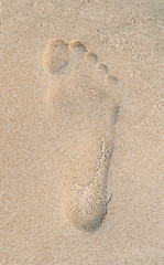 Fototapeta na wymiar human footprint of right stamp tread on sand in the beach sea
