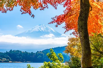 Acrylic prints Fuji Beautiful landscape of mountain fuji with maple leaf tree around lake
