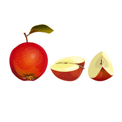 Fresh red apple