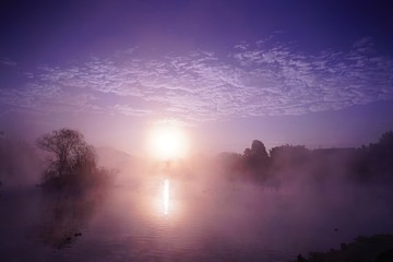 朝靄と池の中に浮かぶ浮島公園の風景