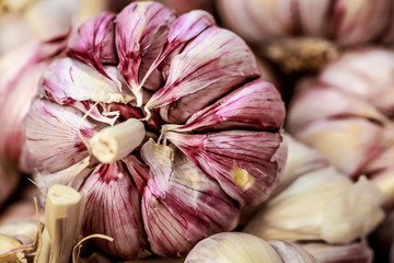 Garlic shooted with macro lens