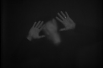 Pig face isolated on black