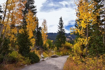 Silver Lake by Solitude and Brighton Ski resort in Big Cottonwood Canyon. Panoramic Views from the hiking and boardwalk trails of the surrounding mountains, aspen and pine trees in brilliant fall autu