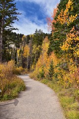 Silver Lake by Solitude and Brighton Ski resort in Big Cottonwood Canyon. Panoramic Views from the hiking and boardwalk trails of the surrounding mountains, aspen and pine trees in brilliant fall autu