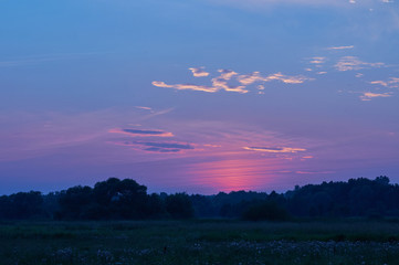 Summer landscape at dusk. Beautiful sunset. Pink glow against the blue sky. View of a green meadow and deciduous forest. Countryside in Ukraine. Romantic mood in nature.