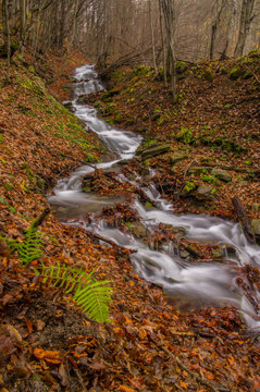 Waterfall on the stream in the forest. Otryt. Bieszczady Mountains.