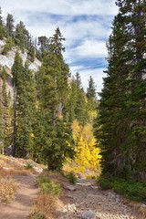 Fototapeta na wymiar Silver Lake by Solitude and Brighton Ski resort in Big Cottonwood Canyon. Panoramic Views from the hiking and boardwalk trails of the surrounding mountains, aspen and pine trees in brilliant fall autu