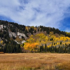 Silver Lake by Solitude and Brighton Ski resort in Big Cottonwood Canyon. Panoramic Views from the hiking and boardwalk trails of the surrounding mountains, aspen and pine trees in brilliant fall autu