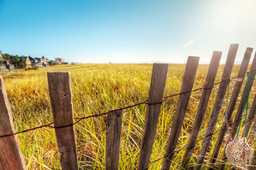 Obraz premium Sand dunes morning sun