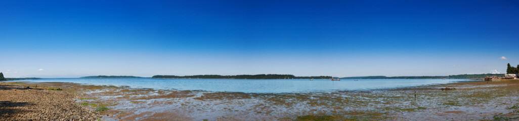 Low tide, Puget Sound near Olympia