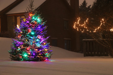 Outdoor decorated Christmas tree. Winter night scene with glowing in the dark christmas tree decorated by colorful lights and covered by fresh snow. Seasonal winter holidays background.