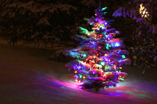 Winter night scene with glowing in the dark christmas tree decorated by colorful lights and covered by fresh snow. Seasonal winter holidays background, good for wallpaper, card, poster and banner.