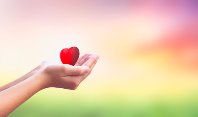 International Human Solidarity Day concept: hands holding red heart health insurance