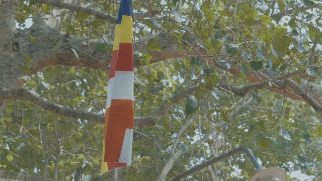 Traditional Buddhist flag hanging in a bright lush healthy tree with green leaves and solid trunk flying in the wind with bright colors