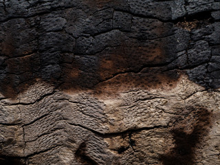 Close up Surface of charcoal